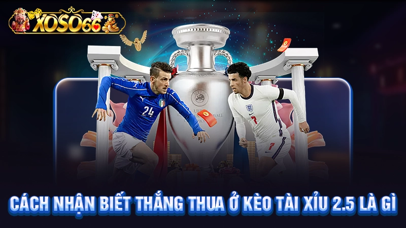 Cách nhận biết thắng thua ở kèo tài xỉu 2.5 là gì