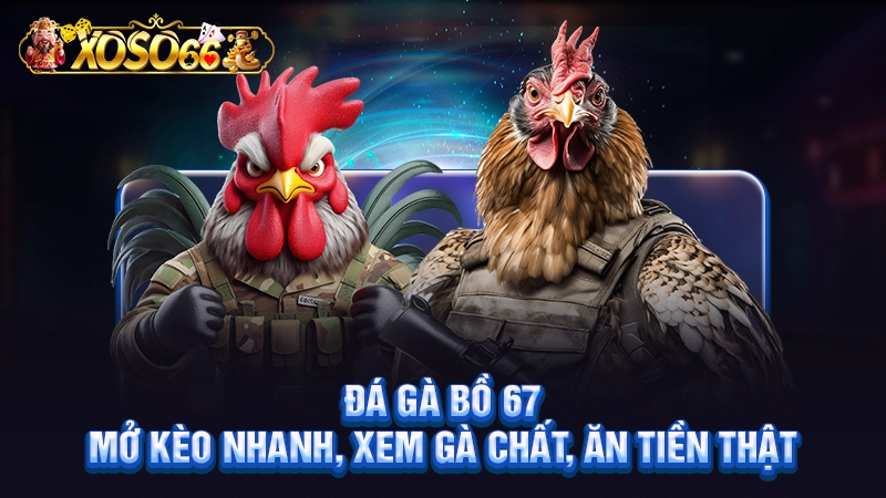 Đá Gà Bồ 67 | Mở Kèo Nhanh, Xem Gà Chất, Ăn Tiền Thật