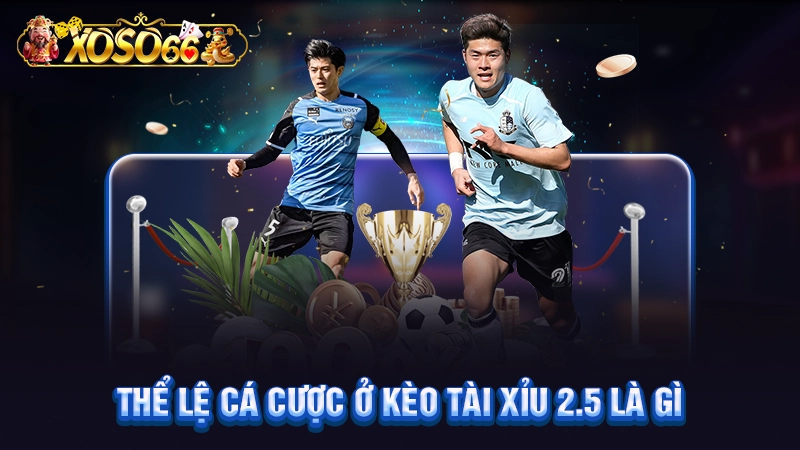 Thể lệ cá cược ở kèo tài xỉu 2.5 là gì