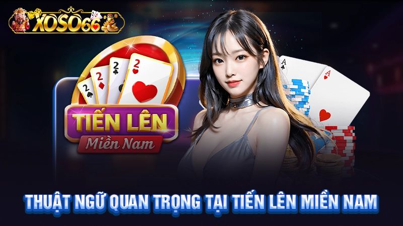Thuật ngữ quan trọng tại tiến lên miền Nam