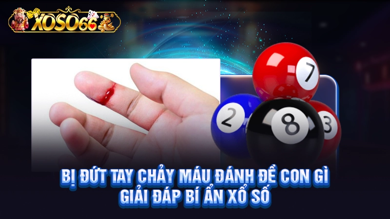 Bị Đứt Tay Chảy Máu Đánh Đề Con Gì - Giải Đáp Bí Ẩn Xổ Số