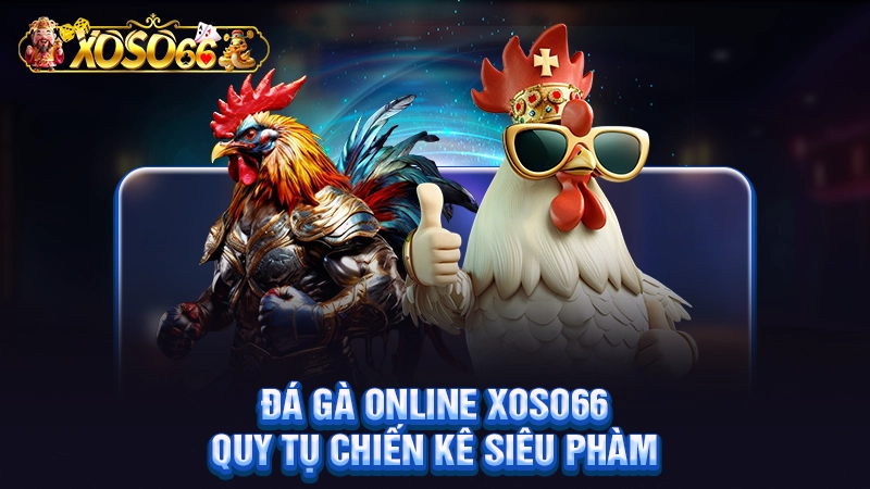 Đá gà online Xoso66 quy tụ chiến kê siêu phàm