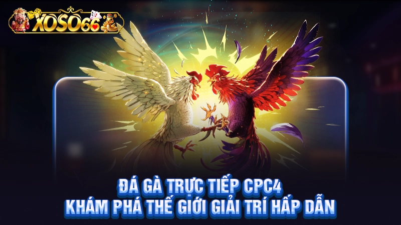 Đá Gà Trực Tiếp CPC4 - Khám Phá Thế Giới Giải Trí Hấp Dẫn Đá Gà Trực Tiếp CPC4 - Khám Phá Thế Giới Giải Trí Hấp Dẫn