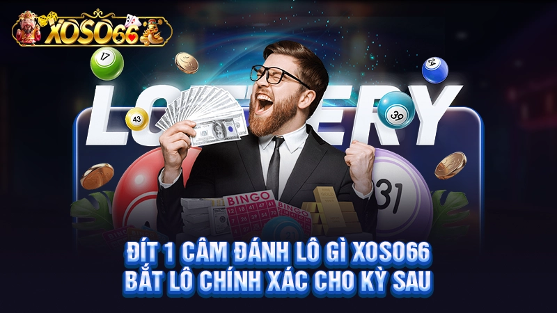 Đít 1 Câm Đánh Lô Gì Xoso66 - Bắt Lô Chính Xác Cho Kỳ Sau
