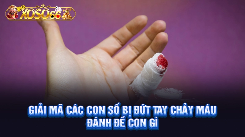 Giải mã các con số bị đứt tay chảy máu đánh đề con gì