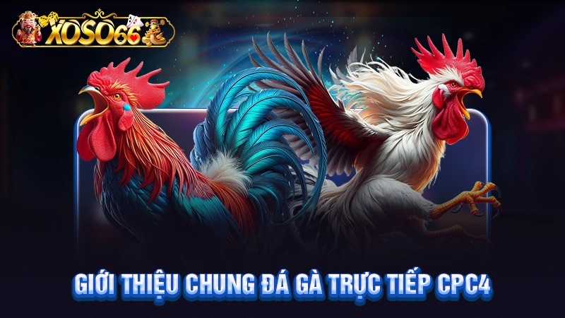 Giới thiệu chung đá gà trực tiếp CPC4