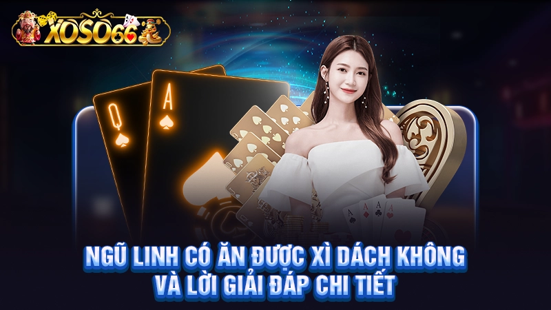 Ngũ Linh Có Ăn Được Xì Dách Không Và Lời Giải Đáp Chi Tiết