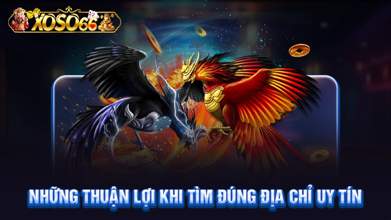 Những thuận lợi khi tìm đúng địa chỉ uy tín