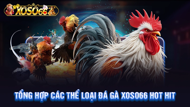 Những hình thức đá gà Xoso66 đỉnh cao