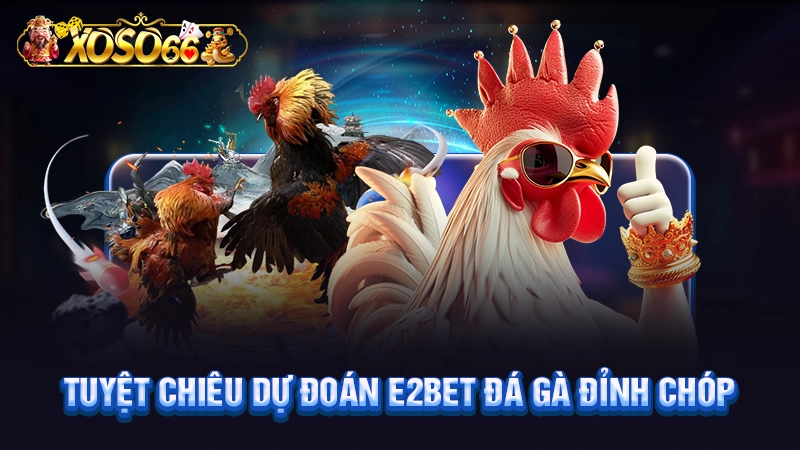 Tuyệt chiêu dự đoán E2bet đá gà đỉnh chóp