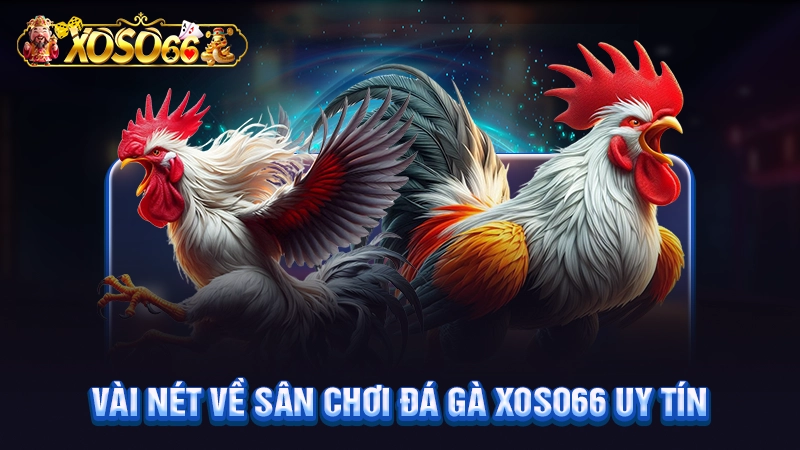 Khái quát về sân chơi đá gà Xoso66